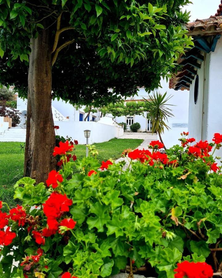 קוימברה Oryza Guest House& Suites מראה חיצוני תמונה