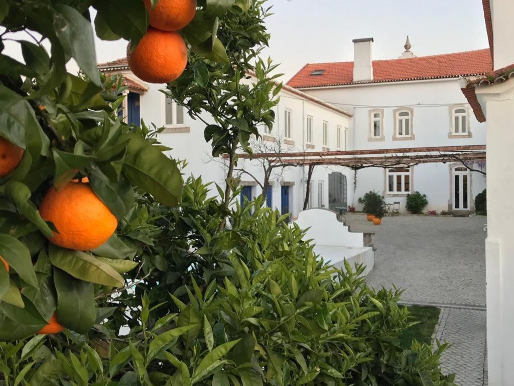 קוימברה Oryza Guest House& Suites מראה חיצוני תמונה