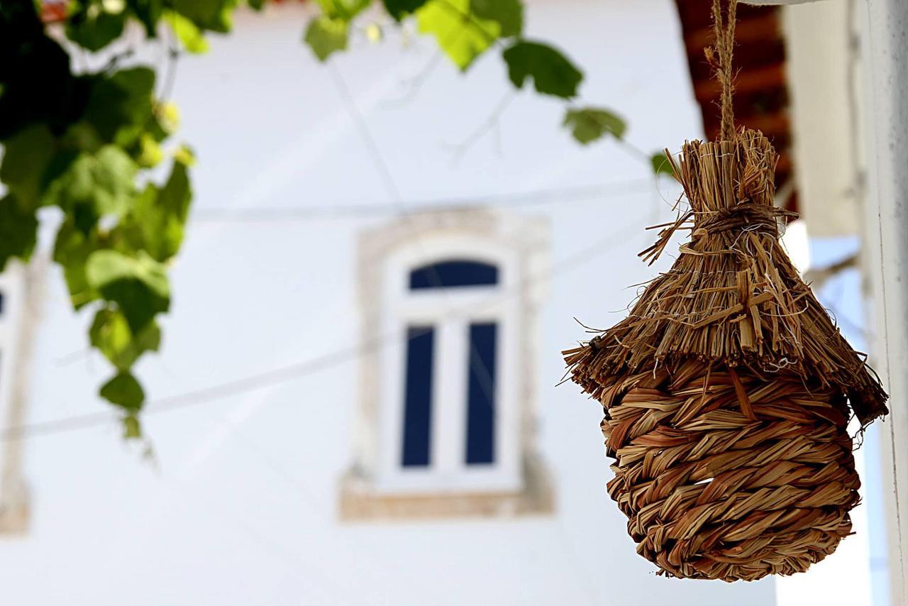 קוימברה Oryza Guest House& Suites מראה חיצוני תמונה